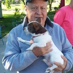 Meet your Posher, Dave